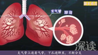 爆肺是什么？
