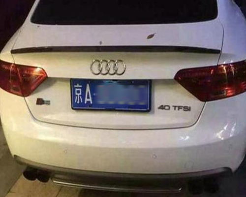 办个汽车牌照要多少钱