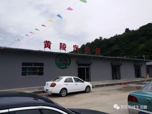 黄陵汽车站电话是多少