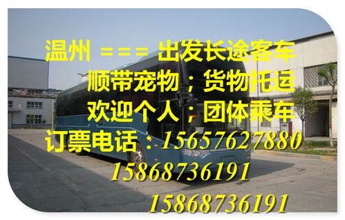 林州到天津汽车票多少