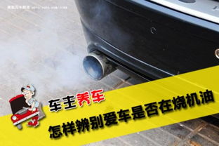 如何判断汽车机油是多少