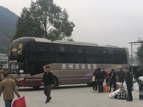 长途汽车多少公里打黄油