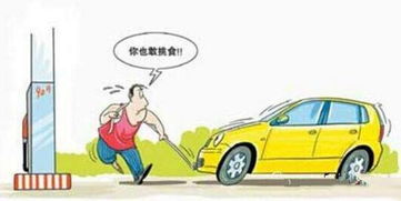 汽车加多少号汽油好