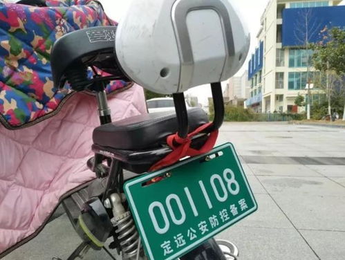 电动汽车上牌照多少钱