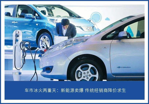 杨林租赁汽车多少钱