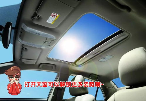 斑马汽车天窗多少钱