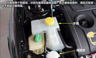 汽车水箱一般多少钱
