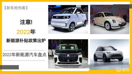 汽车购车补贴多少天