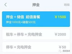 电动汽车租赁押金多少