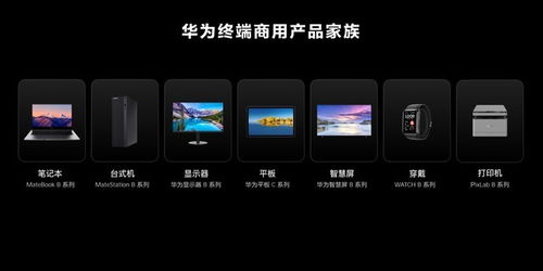 两个华为电脑怎么共享(华为电脑间无缝共享，实现高效协同工作的秘诀)