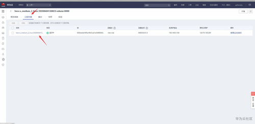 电脑上怎么看华为云(如何在电脑上查看华为云，一站式云服务管理指南)