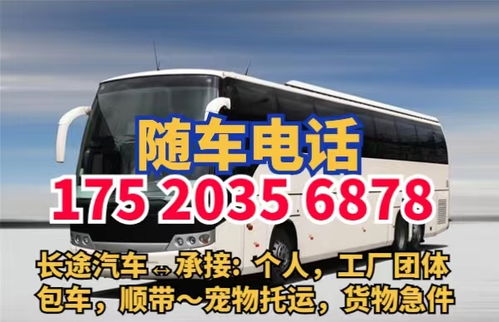 扬州到东营汽车票多少钱(扬州到东营汽车票价查询,一路的风景与费用) 扬州到东营汽车票多少钱(扬州到东营汽车票价查询,一路的风景与费用)