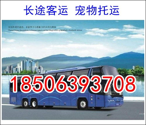 宜春一东莞汽车票多少钱(宜春到东莞汽车票价查询及旅行攻略)