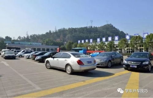 邵阳汽车梯一般多少钱(邵阳汽车梯价格概览，多少钱才是你心中的理想价位？