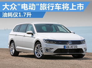 大众汽车两个油多少升(大众汽车两个油多少升，深度解析与探讨)