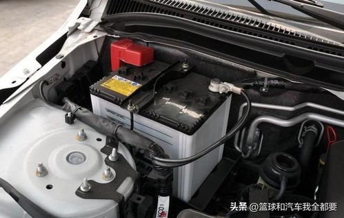 领仕电动汽车喇叭多少钱(领仕电动汽车喇叭价格解析)