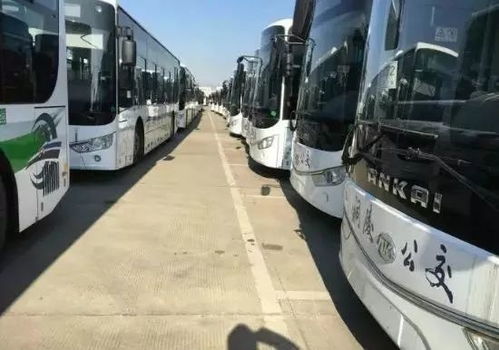 乐平汽车站到武汉多少钱(乐平汽车站到武汉的交通费用详解)