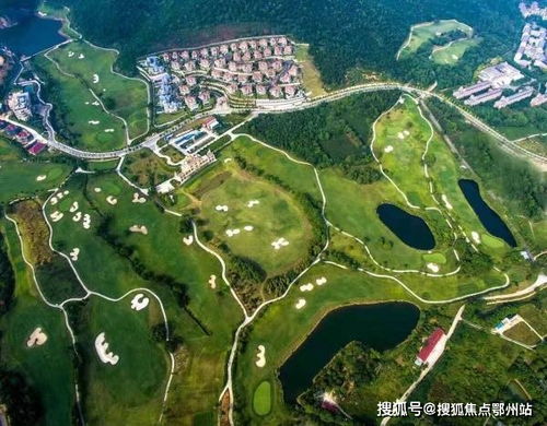 下塘到炉桥汽车多少钱(下塘到炉桥汽车的价格解析)