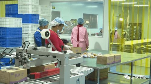 福田区汽车除甲醛多少钱(福田区汽车除甲醛服务费用解析)