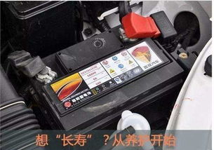汽车电瓶一天能放多少电(汽车电瓶一天能放多少电，深度探究汽车电瓶的电量消耗与存储)