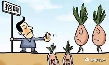 招聘被指萝卜坑 高校确认有亲属关系(招聘风波揭秘，萝卜坑现象下的高校招聘与亲属关系之疑)