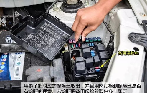汽车电器保险丝容量多少(汽车电器保险丝容量的重要性及其选择标准)