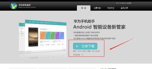 华为电脑文档怎么下载(华为电脑文档下载指南，轻松获取所需文件)