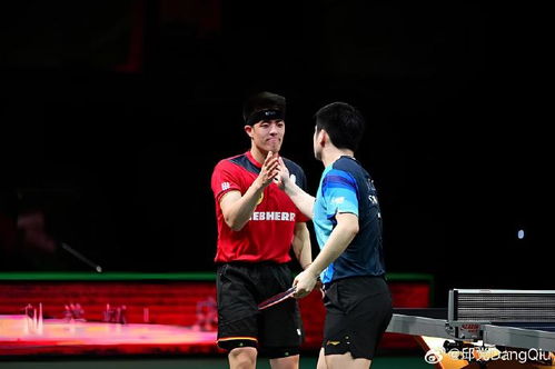 樊振东正式加盟杜塞尔多夫
