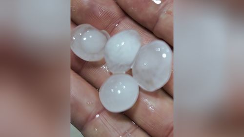 北京雷雨交加狂风大作 冰雹噼啪作响