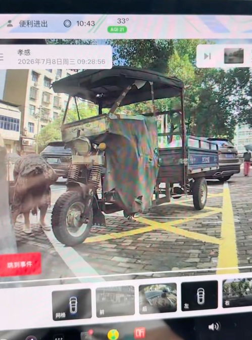 广西大爷坚持抱树一天一夜后获救