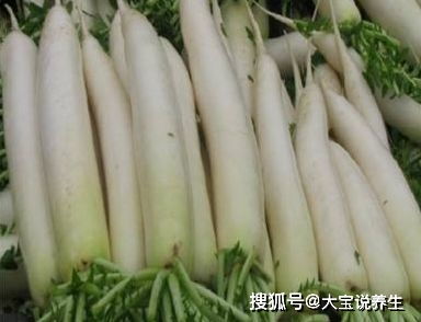 inskin游戏攻略 VS 游戏攻略初来乍到