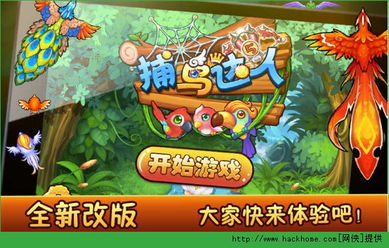 飞行鸟游戏攻略 VS 钓个金龟婿橙光游戏攻略