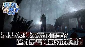 胆量游戏攻略 VS mlm游戏攻略